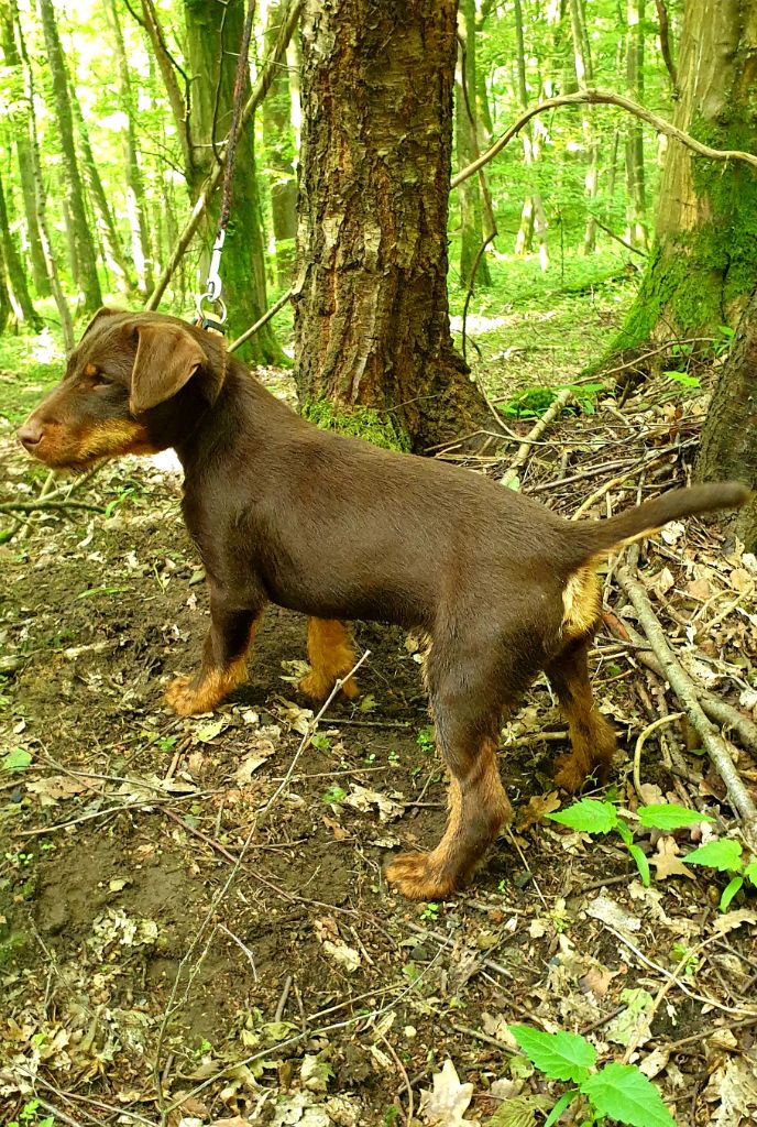 Parker de la vallée de la Blaise